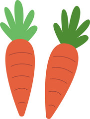 Flat Style Illustration of Fresh Organic Carrots Healthy Food Vegetable