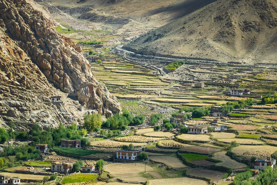 Beautiful ladakh landscape, green valley field with warm morning sunlight from the back of the Himalayan mountains, leh, ladakh, Jammu and Kashmir, India
