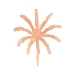 watercolor fireworks