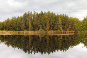 Forest shoreline mirrored in calm lake under cloudy sky.