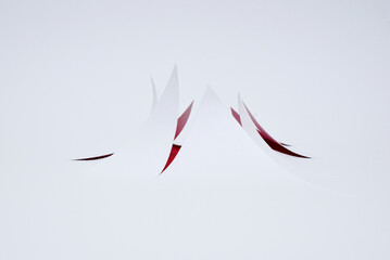 Coups de cutter sur feuille blanche et rouge derri&egrave;re