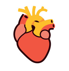 Colorful illustration of human heart