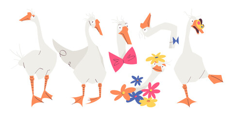 Big vector set of funny goose characters isolated on white background. Cute geese in different poses with flowers and accessories. Perfect for stickers, posters, cards, kids design, and prints © hrytsai.art