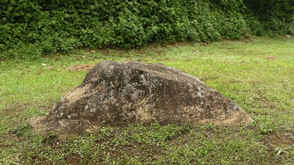 a large, weathered natural stone boulder sits in the middle of a green grassy field. The background features lush wild vegetation and foliage in a quiet outdoor setting.