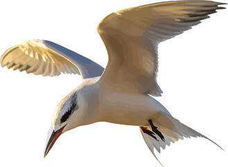 Placeholder image indicating a vector file format for versatile digital design use Vector