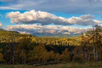 Big Clouds Over A Fall Mountain Forest
