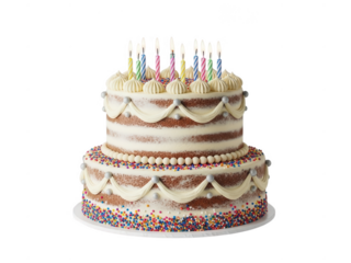 Brown two tier semi birthday cake with white frosting two tier cake semi cake brown cake