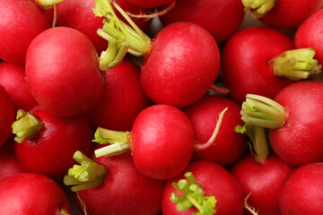 Many fresh ripe radishes as background, top view