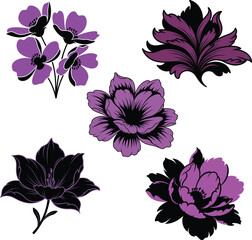 Beautiful Purple Floral Illustration with Five Elegant Flowers on White Background