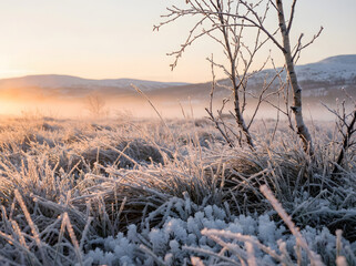 Frosty landscape at sunrise with misty mountains in the background