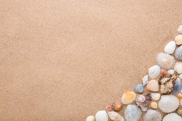 Different beautiful colorful sea shells on light brown dry sand background. Closeup. Empty place for text. Top down view.