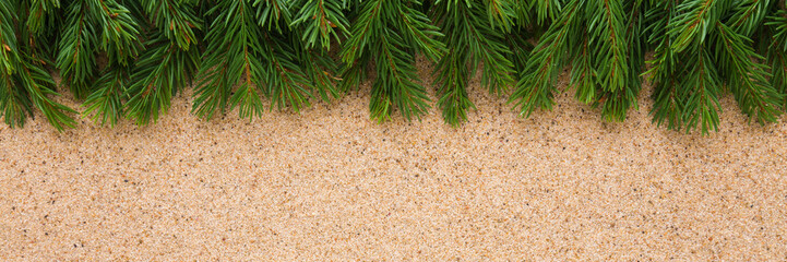 Green natural fresh fir branches on light brown dry sea sand background. Closeup. Christmas decoration. Wide banner. Empty place for text. Top down view.