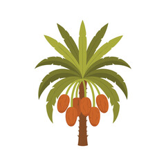 Illustrated palm tree with dates Vector