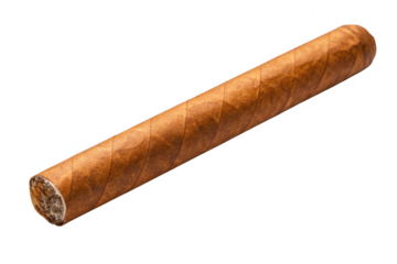 Rolled tobacco cigar isolated on transparent background