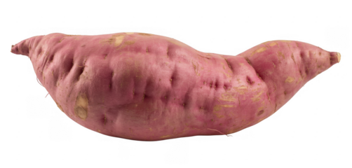 Single Pink Sweet Potato vegetable root vegetable isolated on a transparent background