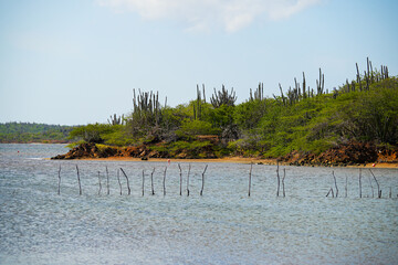 Goto Meer Salt Lake in Northern Bonaire in the Dutch Caribbean