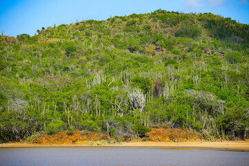 Goto Meer Salt Lake in Northern Bonaire in the Dutch Caribbean