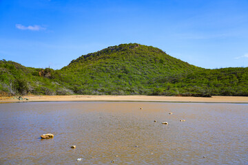 Goto Meer Salt Lake in Northern Bonaire in the Dutch Caribbean