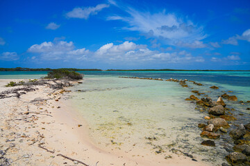 Sorobon Beach in Lac Bay, a tropical lagoon with shallow turquoise waters on the southeast coast of...