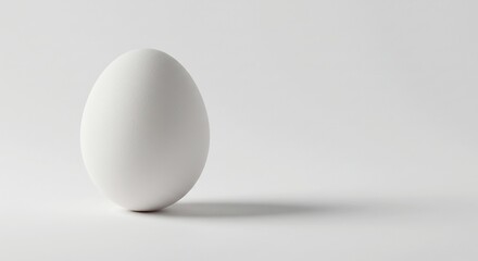 純粋な白い卵が柔らかな自然光を浴びてその滑らかな表面が際立つ背景に長く伸びる優しい影がシンプルな構図に深みと静けさをもたらす静物画健康的な食生活を象徴する美しい姿. AI Generated