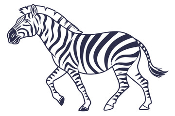 Obraz premium Graceful zebra strides forward with distinct black and white stripes against a clean background