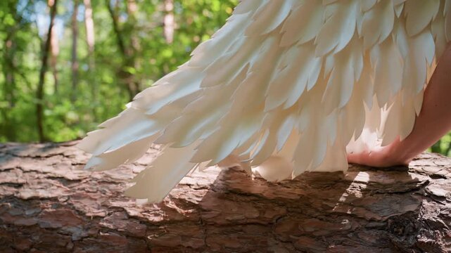 Close up of soft white angel wings and hand touching fallen tree bark in bright forest sunlight, symbolizing peace, nature unity, gentle strength, and divine stillness