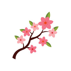 Japanese Sakura Flower Blossom Illustration