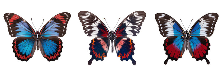 Three colorful butterflies isolated on transparent background