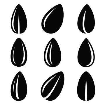 seed silhouette simple icon set
