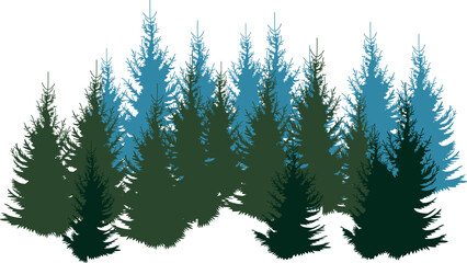 Background with silhouettes of fir trees