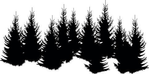 Black silhouette of a spruce forest isolated on white background	