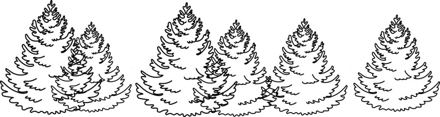 Sketch of fir trees  isolated on white background