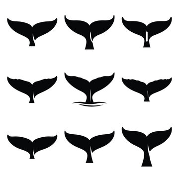 whale tail silhouette icon set