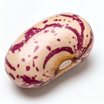 Single speckled bean exhibiting delicate patterns against a pristine white background