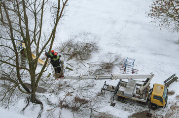 Workers on a mobile mechanical lift are pruning trees. Pruning trees in winter