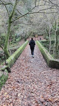 Woman walking along an old stonebridge covered in fallen autumn leaves