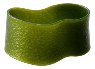 Cylindrical, flexible stipe of Laminaria with a textured surface.