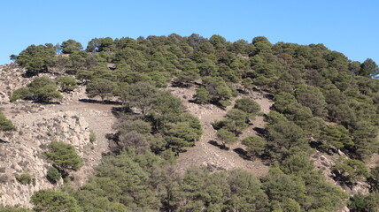 Fototapeta premium Mount Gurugu - Gourougou (Nador Province, Oriental region, Kingdom of Morocco)