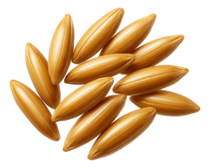 Elongated, slender rye seeds with a smooth texture.