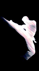 Martial Arts Fighter Silhouette in Motion