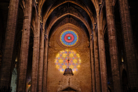 Ornate rose window casting colorful light in gothic cathedral