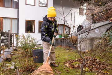 Young boy rakes leaves in autumn garden cleanup