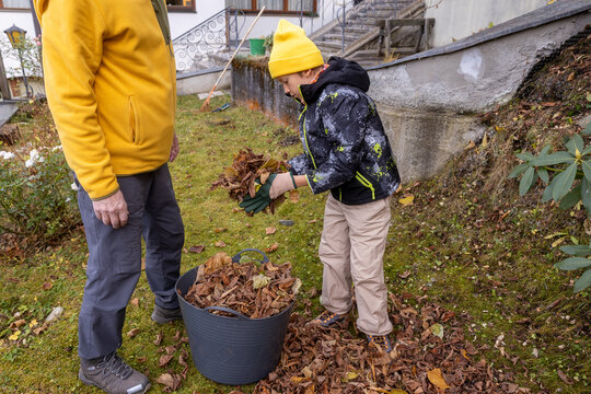 Grandson helps grandfather tidy autumn garden