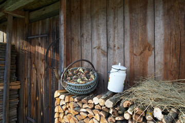 Objects of ancient village life near a wooden wall.