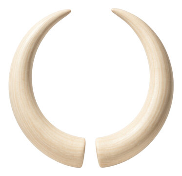 Curved ivory tusks with a textured surface, showcasing natural beauty.