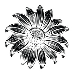 Realistic Black Eyed Susan Flower Vector with Green Leaves and Natural Shape Perfect for Invitations Posters Stickers and Digital Design