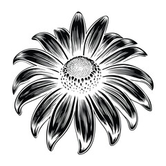 Summer Wildflower Black Eyed Susan Vector Artwork with Realistic Details Bright Yellow Bloom and Garden Theme Design Element