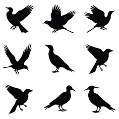Set of bird silhouettes flying vector illustration