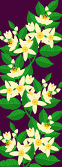 Lovely vertical banner with bright citrus flowers and leaves. Blooming design ideal for fabric prints, wrapping paper, wallpapers, packaging, stationery, nature-inspired branding, and web visuals