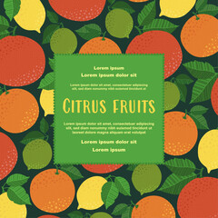 A citrus fruit botanical illustration with copy text space. Vibrant composition with juicy grapefruits, oranges, limes, and lemons. Perfect for summer ads, organic food packaging, covers, and posters.